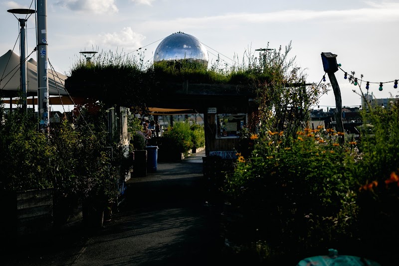 Klunkerkranich